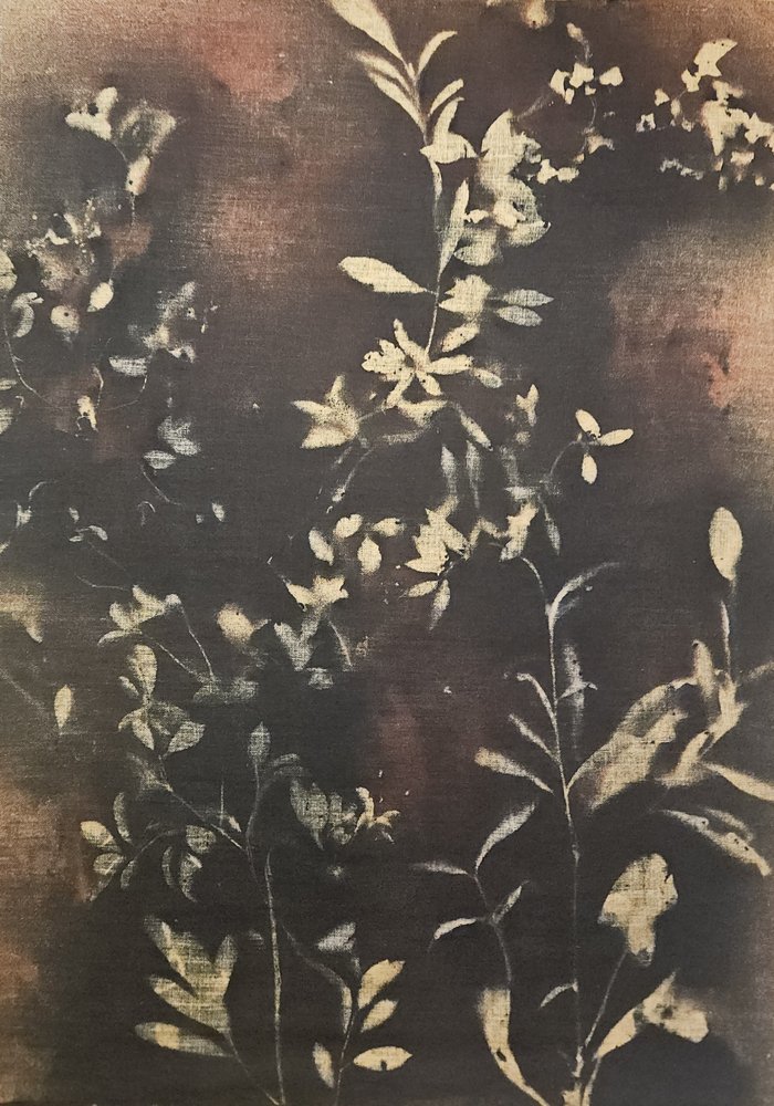 Dark Botanical Silhouettes by Stefano Mazzolini