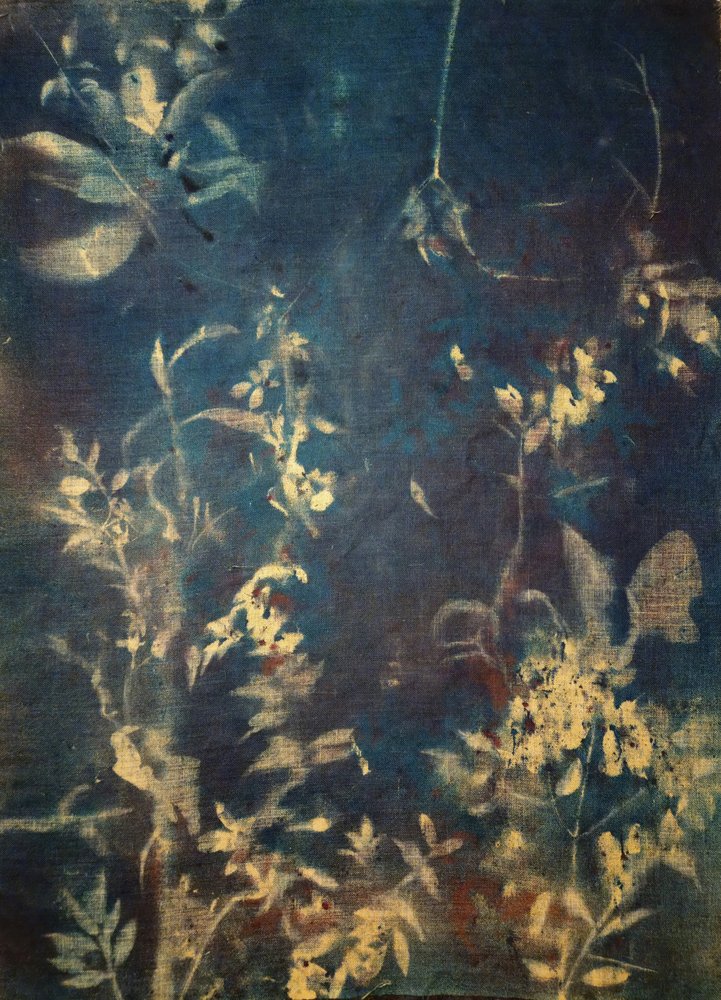 Ethereal Blue Botanicals by Stefano Mazzolini