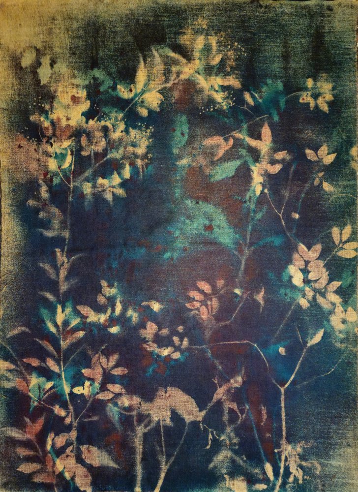 Ethereal Blue Botanicals by Stefano Mazzolini