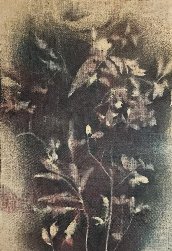 Faded Botanical Forms by Stefano Mazzolini