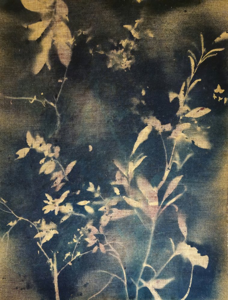 Glowing Indigo Foliage by Stefano Mazzolini