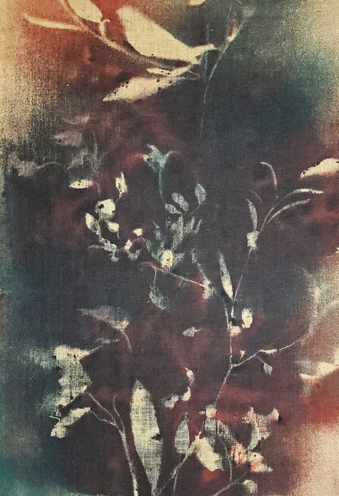 Moody Botanical Branches by Stefano Mazzolini
