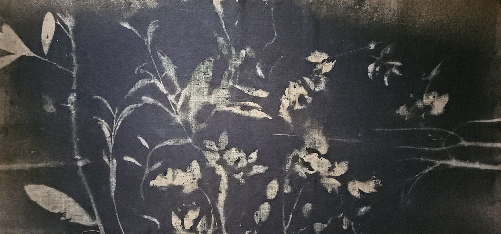 Shadow Garden Bloom by Stefano Mazzolini