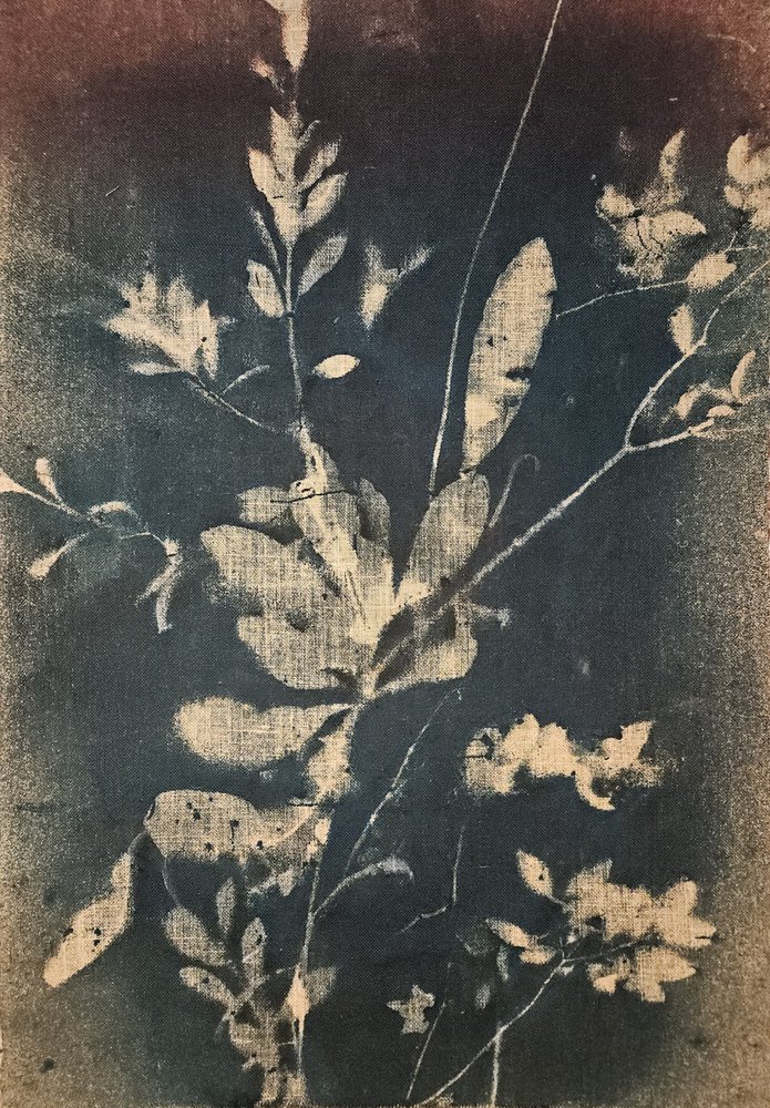 Vintage Blue Botanicals by Stefano Mazzolini