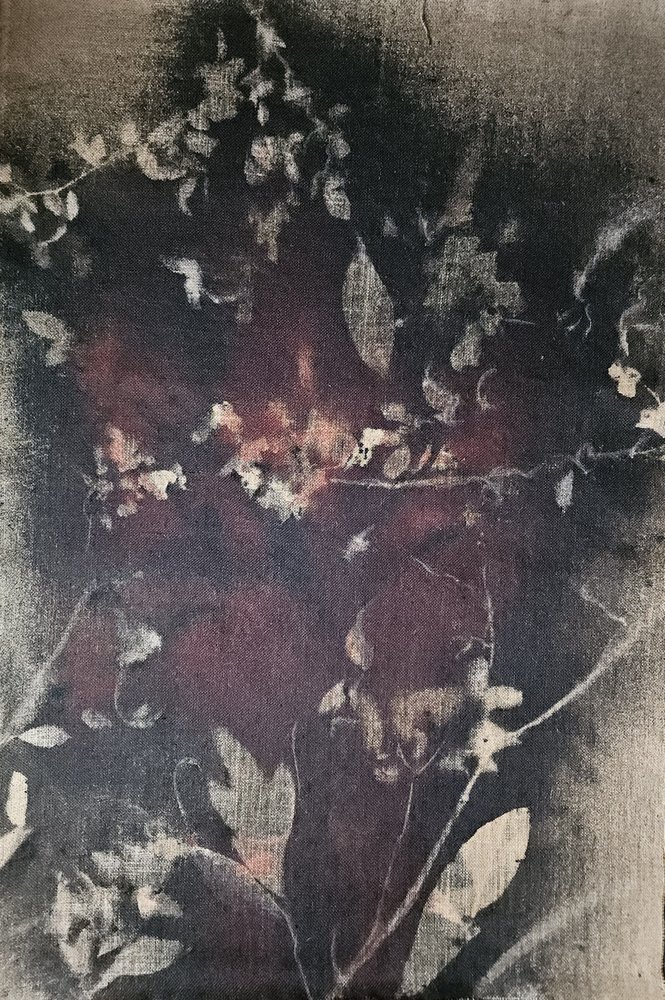 Vintage Botanical Fade by Stefano Mazzolini