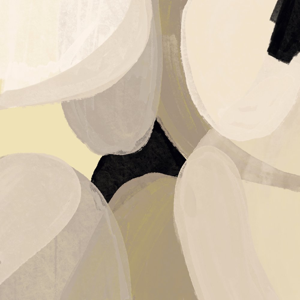 Soft Abstract Shapes by Studio Palette