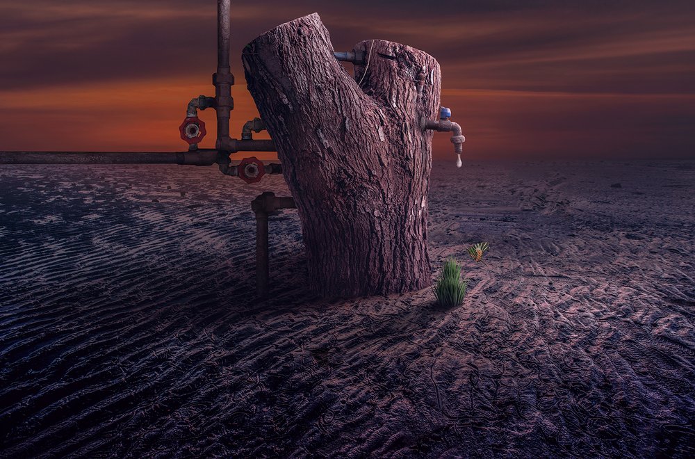Drip of Life Desert by Sulaiman Almawash