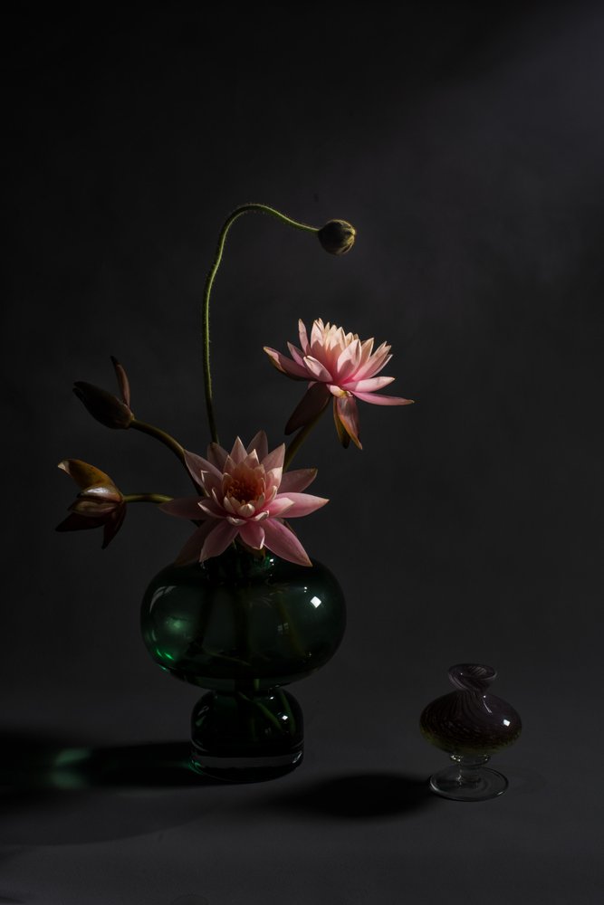 Elegant Pink Lilies by Summer2016