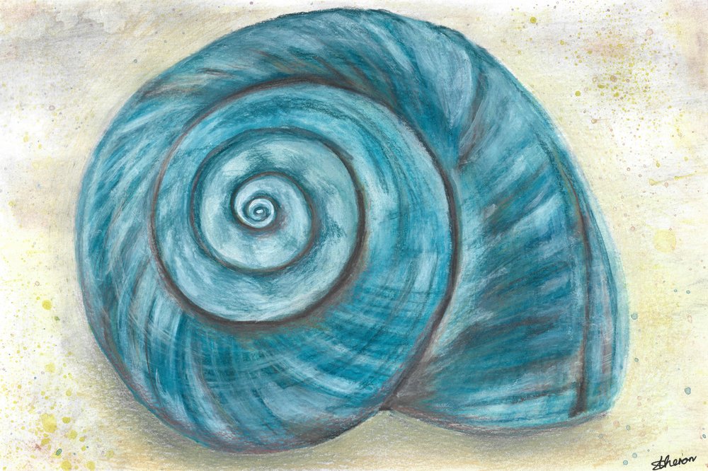 Blue Spiral Shell by Sunet Theron