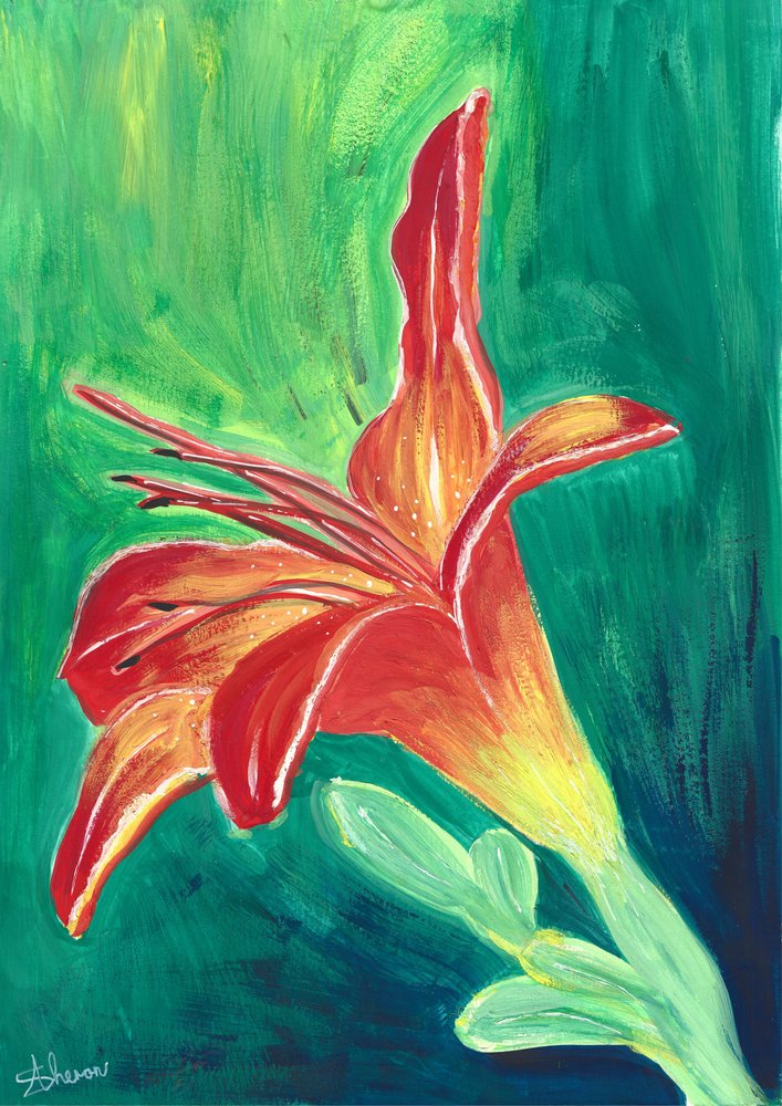 Vibrant Orange Lily by Sunet Theron
