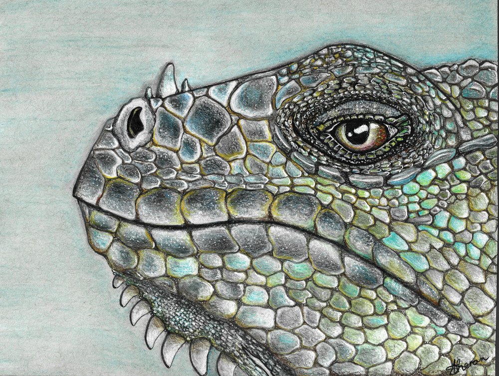 Vivid Iguana Scales by Sunet Theron