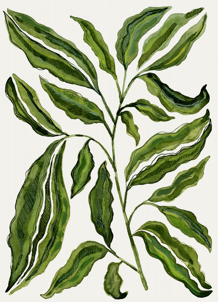 Organic Green Leaves by Susan Black