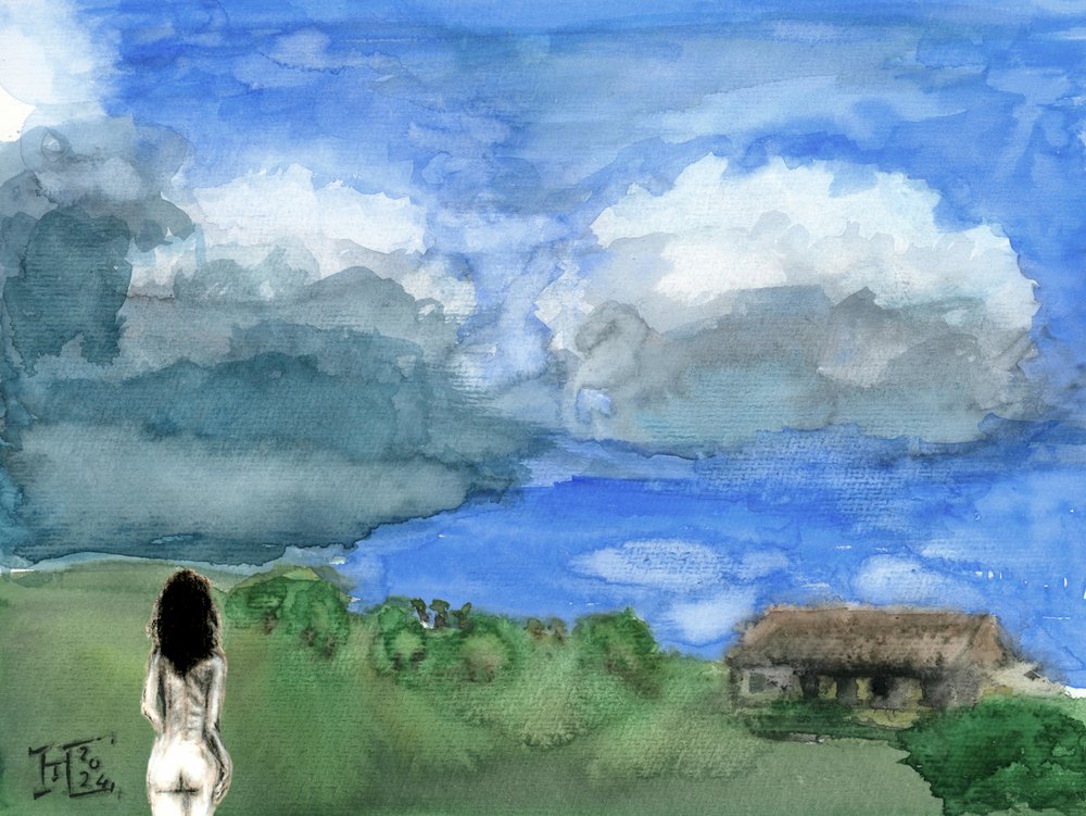 Woman Views Vast Landscape by Tim Hoinkis