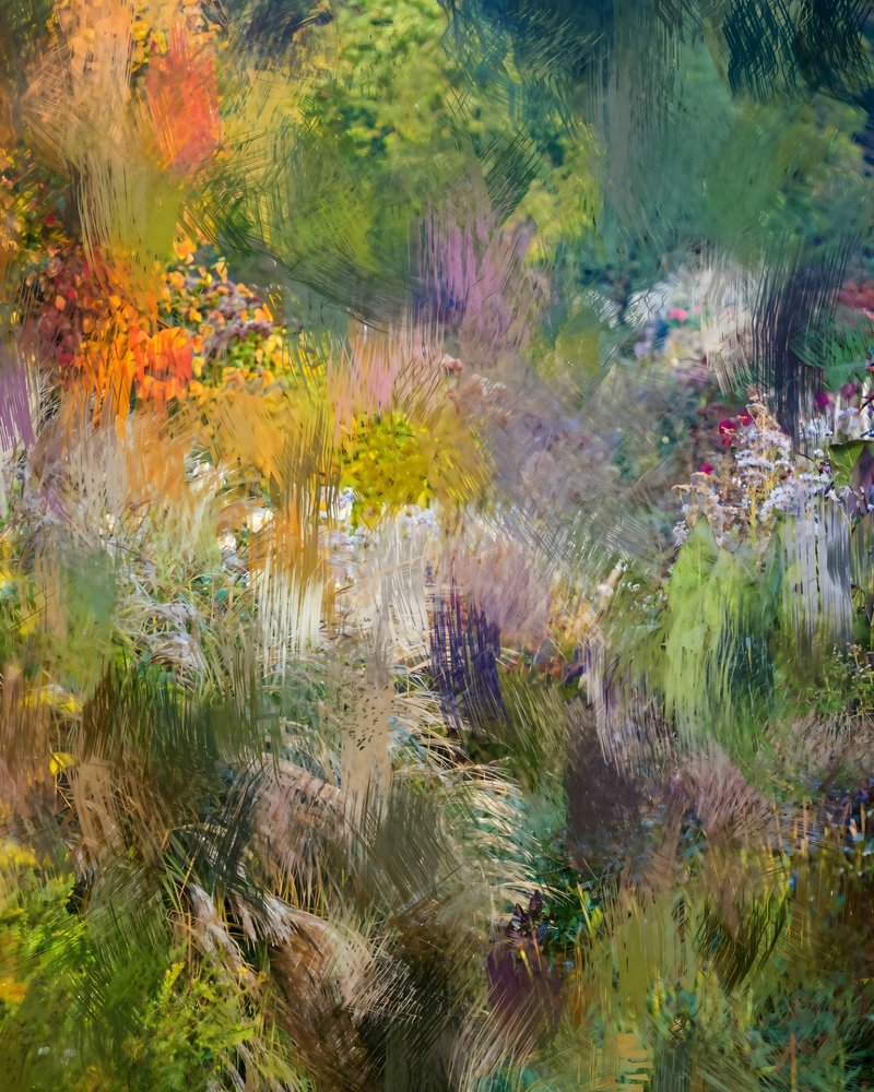 Vibrant Garden Abstract by Uma Gokhale