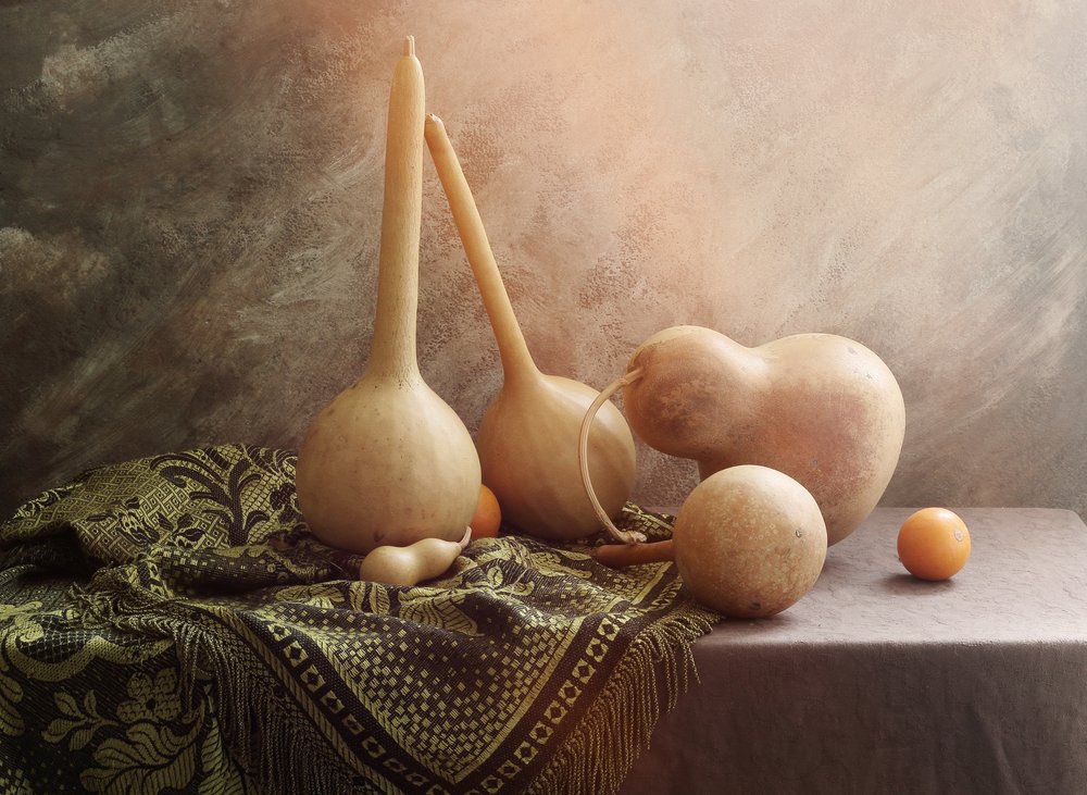 Natural Gourd Still Life by UstinaGreen