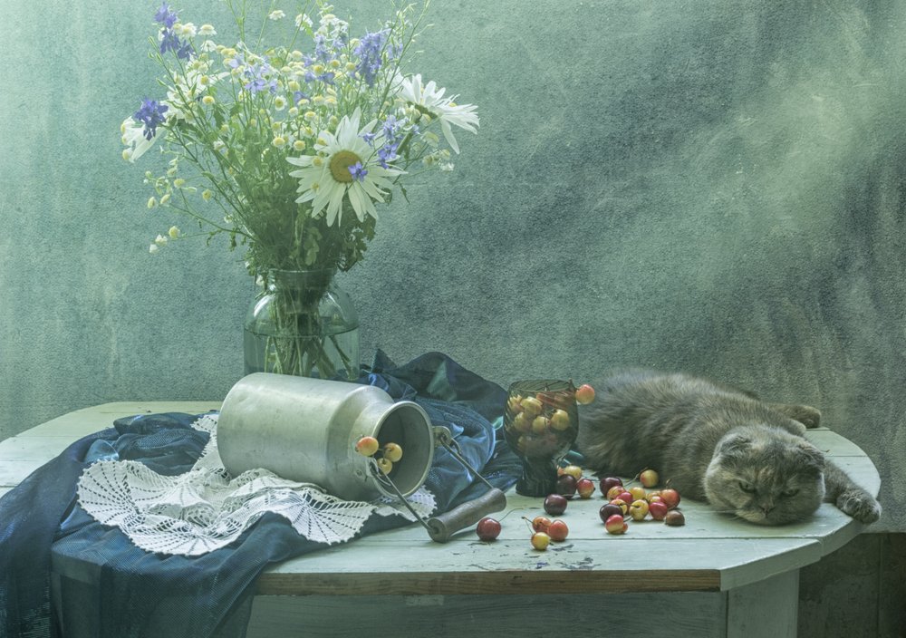 Sleeping Cat and Cherries by UstinaGreen
