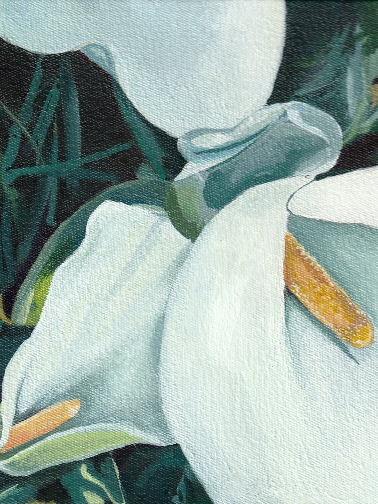 Elegant Calla Lilies by Viccy Wanliss