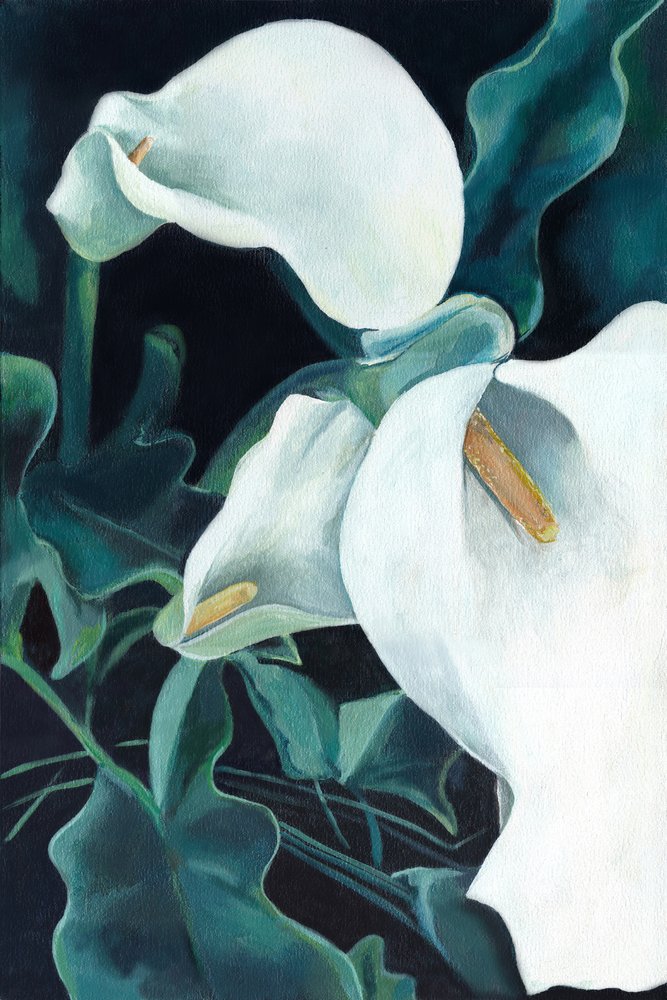 Elegant White Calla Lilies by Viccy Wanliss