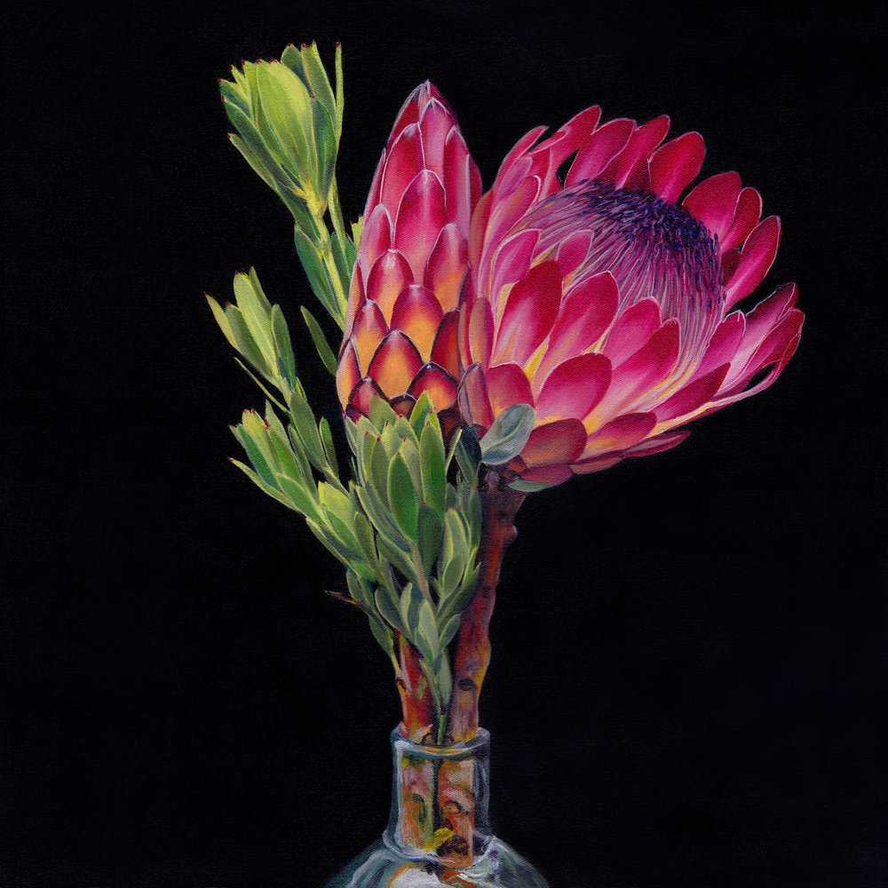 Pink Protea Vase by Viccy Wanliss