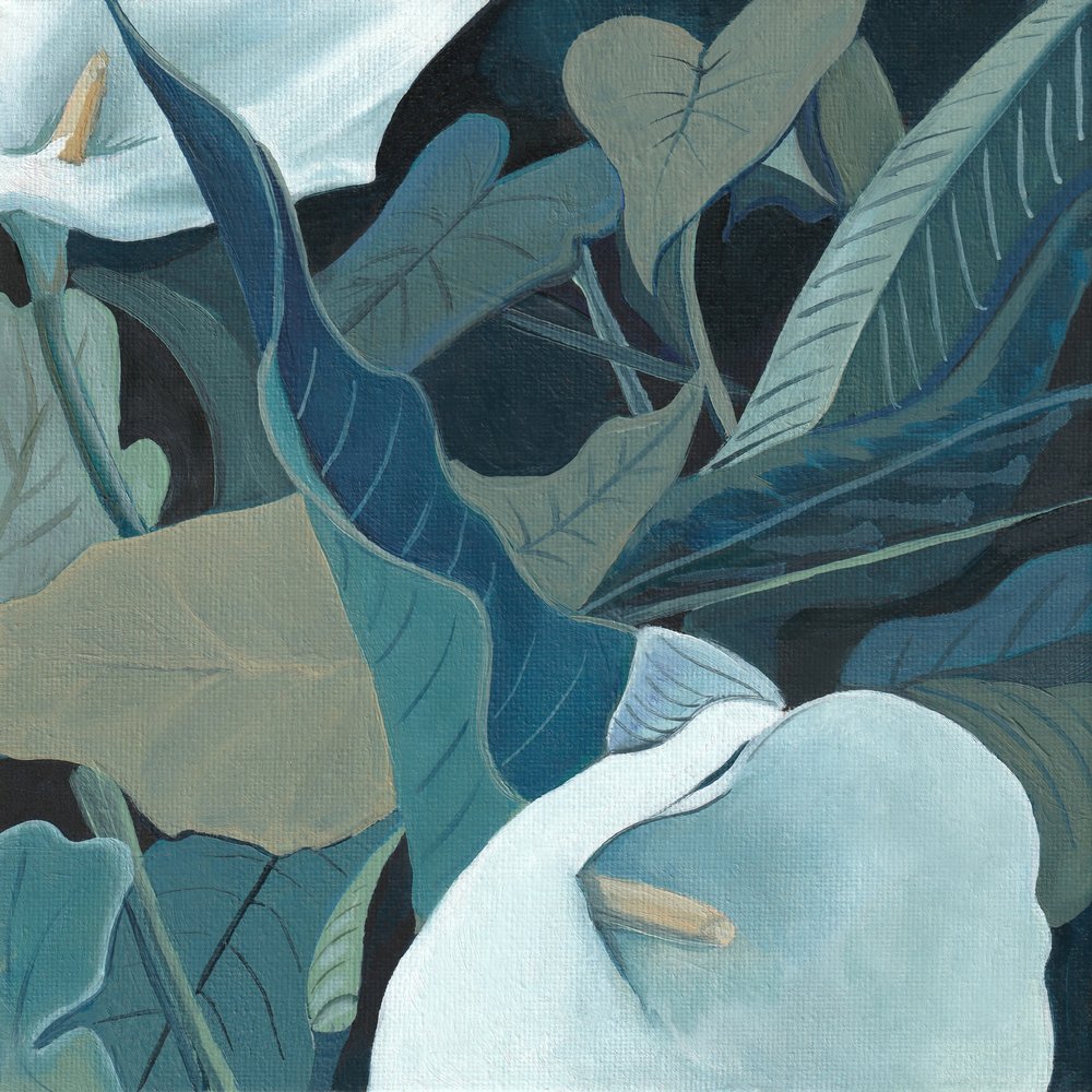 Serene Calla Lilies by Viccy Wanliss