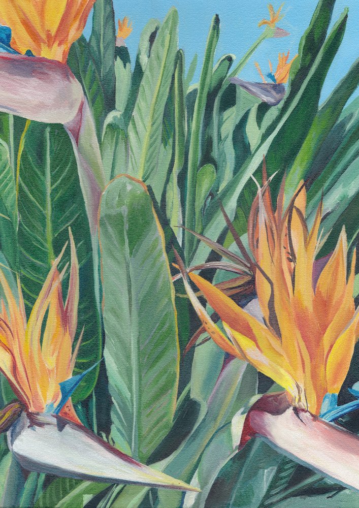 Vibrant Bird Of Paradise by Viccy Wanliss