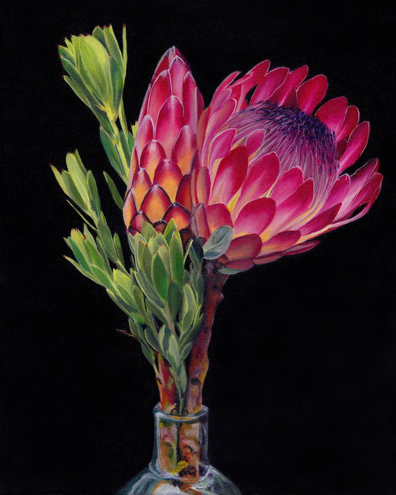 Vibrant Protea Flowers by Viccy Wanliss