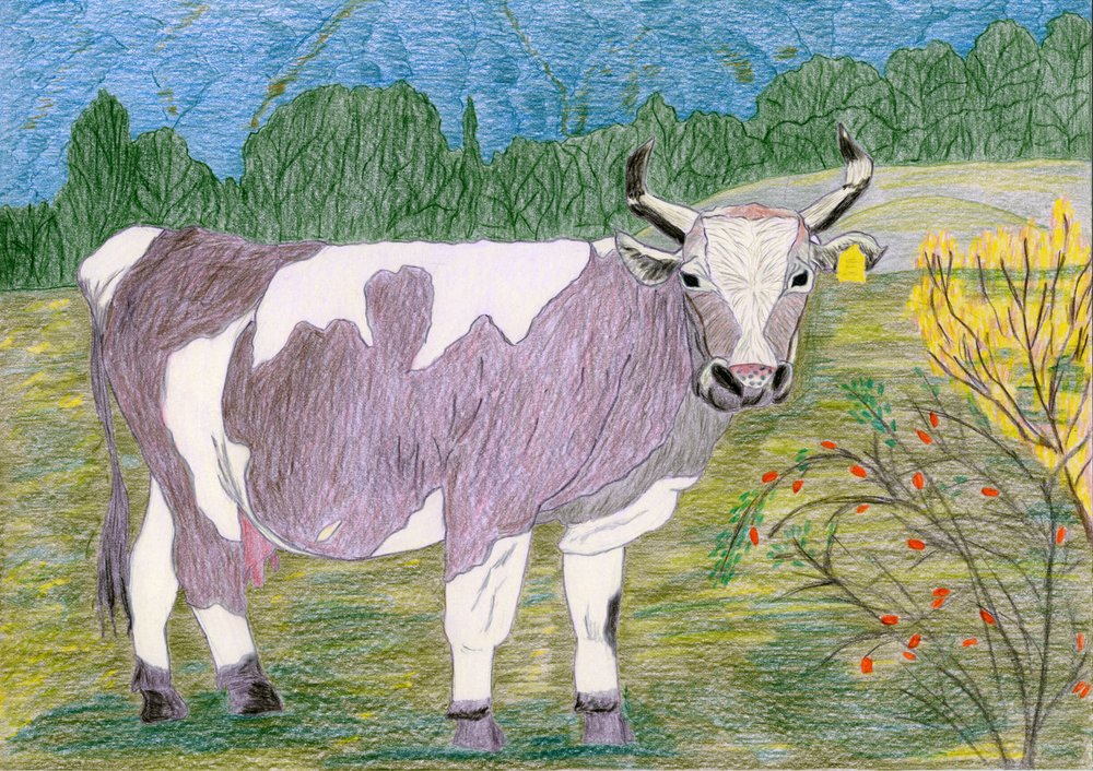 Spotted Cow Pasture by Viktoriia Saunina