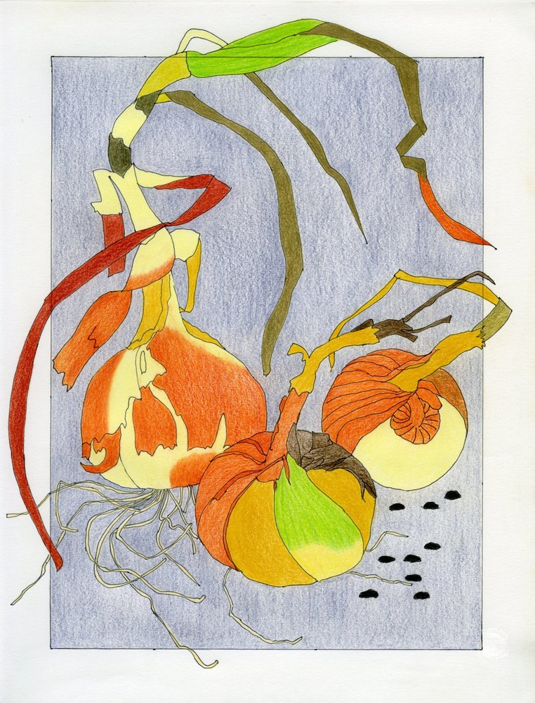 Sprouting Onions Still Life by Viktoriia Saunina