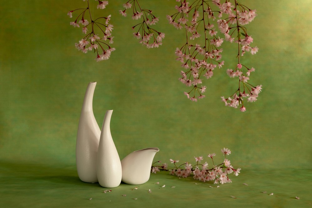 Cherry Blossom Vases by Wendy Xu