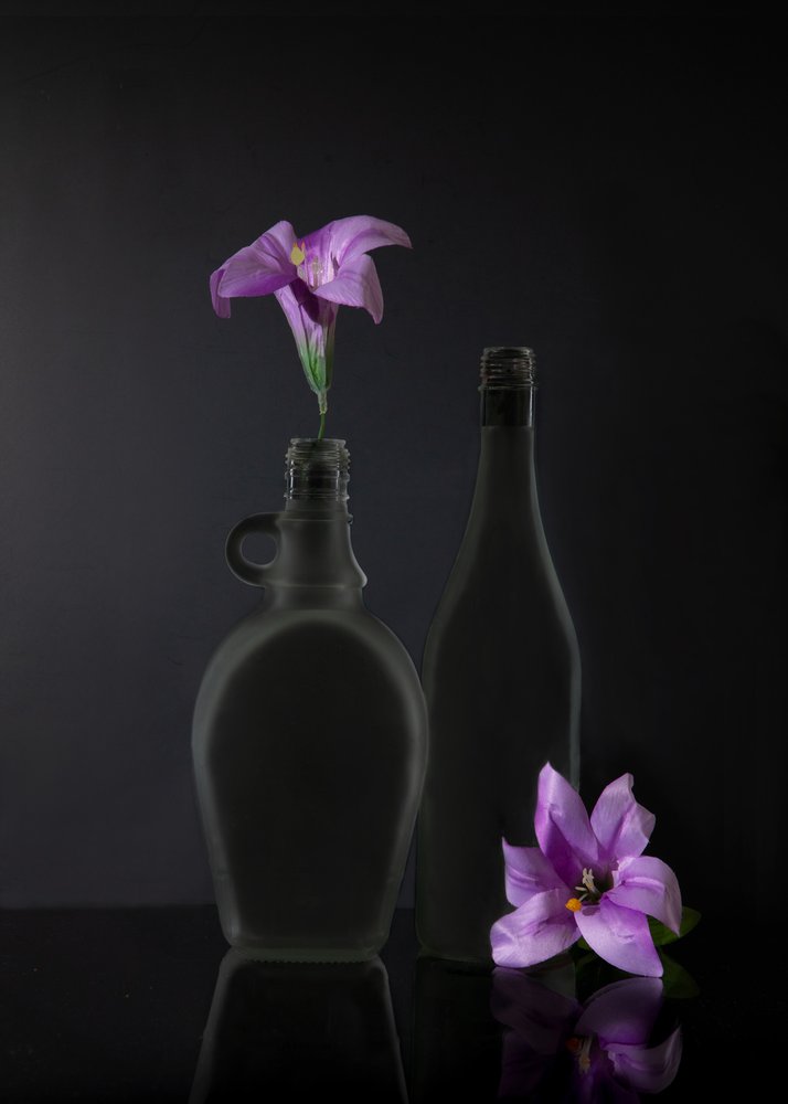 Dark Purple Still Life by Wendy Xu