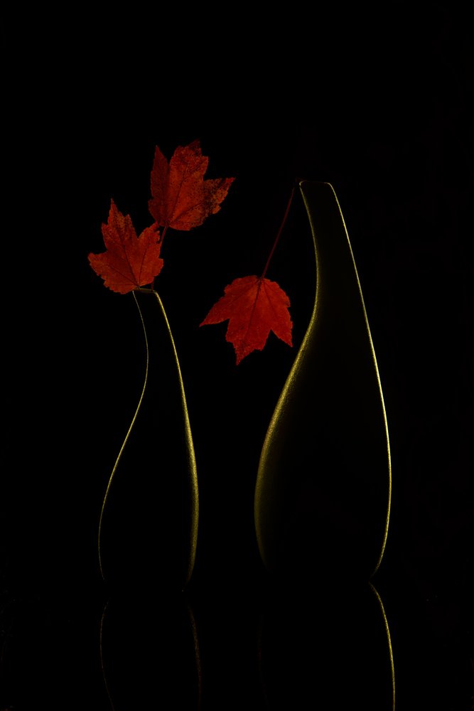 Glowing Autumn Vases by Wendy Xu