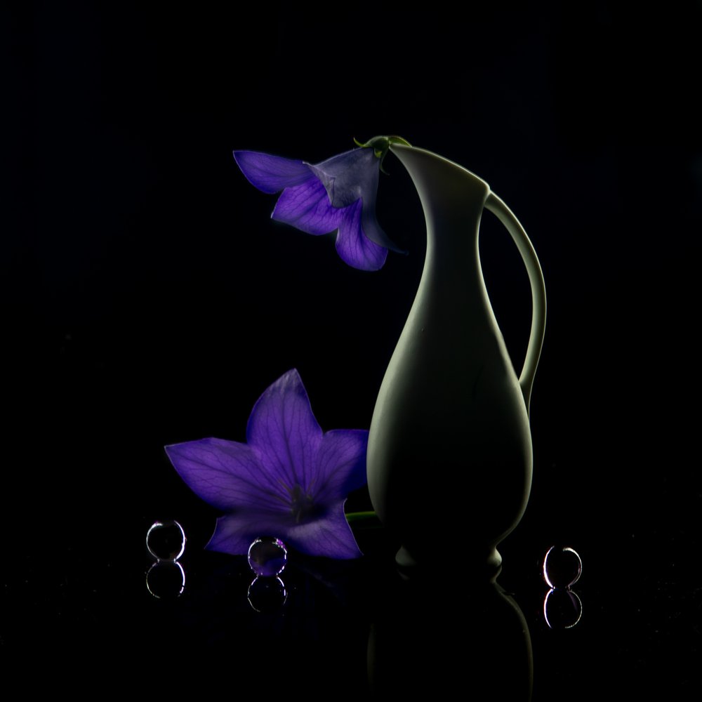 Purple Flowers Dark Elegance by Wendy Xu