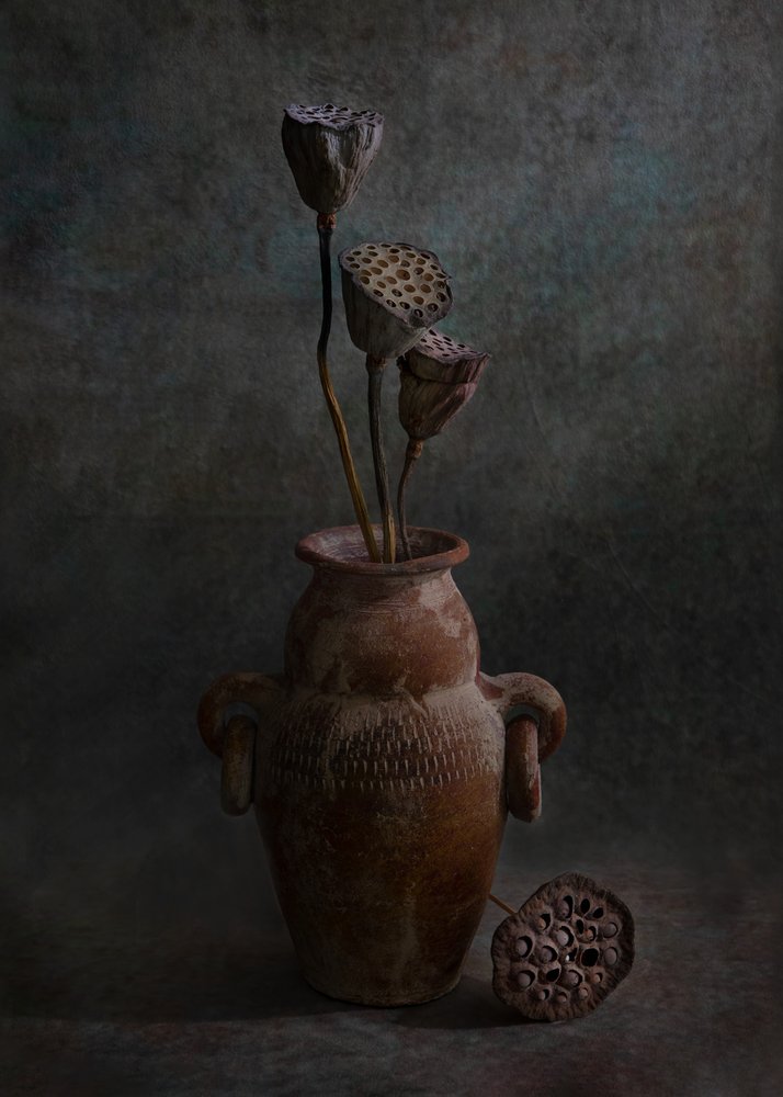 Rustic Lotus Still Life by Wendy Xu