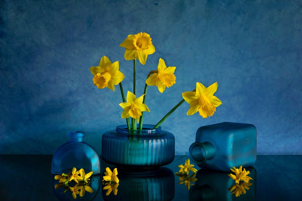 Yellow Daffodils Blue Vases by Wendy Xu