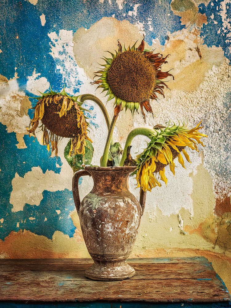 Withered Sunflowers Still Life by Yasutaka Sameshima