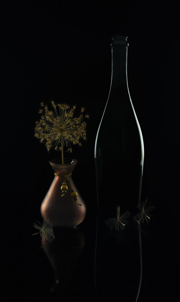 Elegant Dark Still Life by Yuanwei Zuo APA