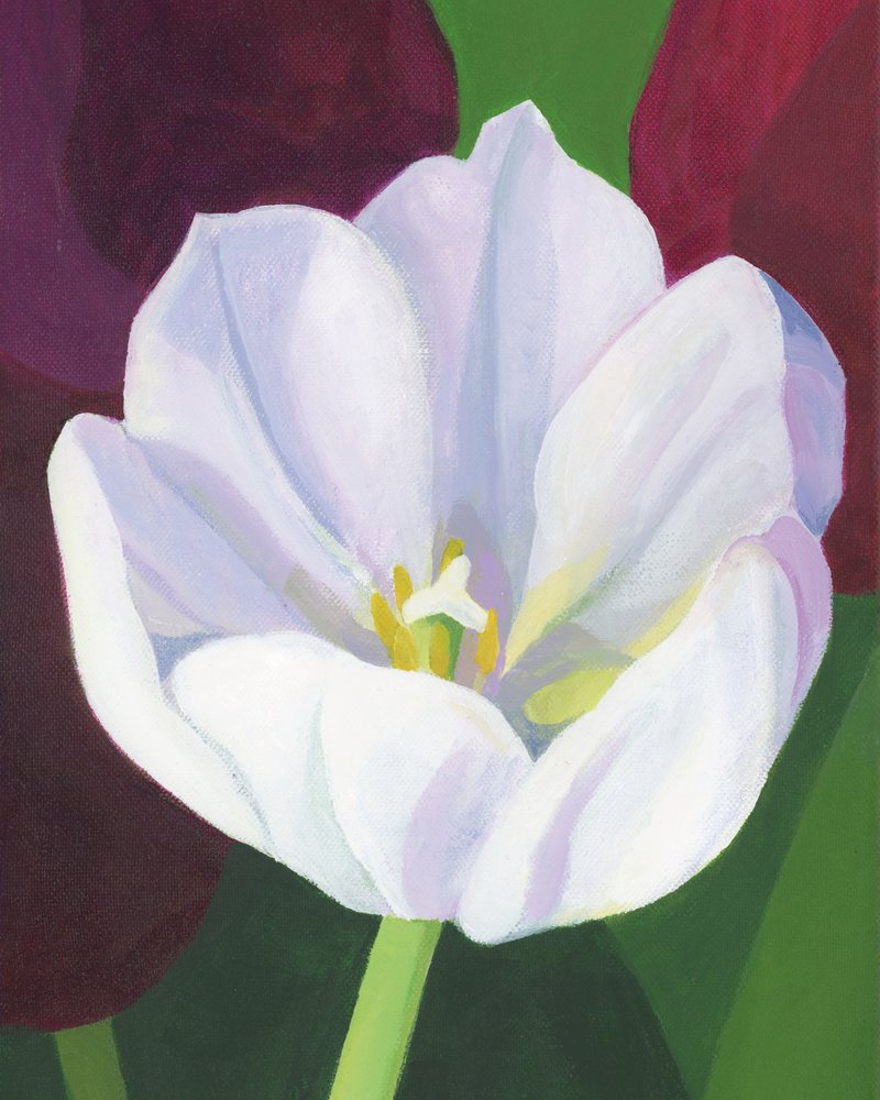 Elegant White Tulip by Yvonne Gustafsson