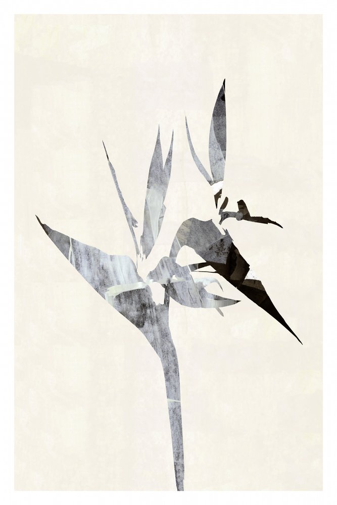 Abstract Bird of Paradise by cartissi