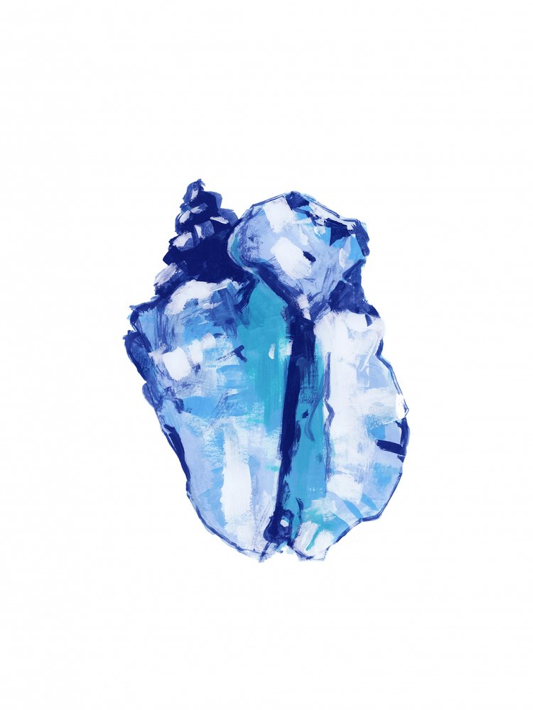 Abstract Blue Conch by cartissi