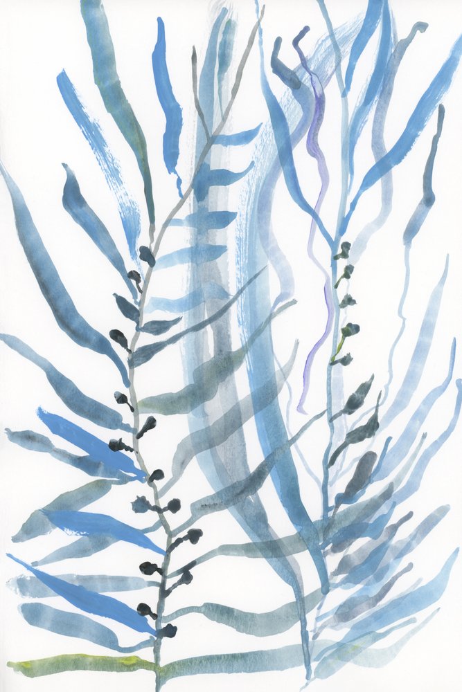 Abstract Sea Plants by cartissi