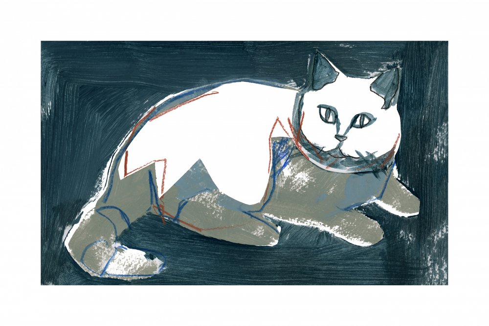 Artistic White Cat by cartissi