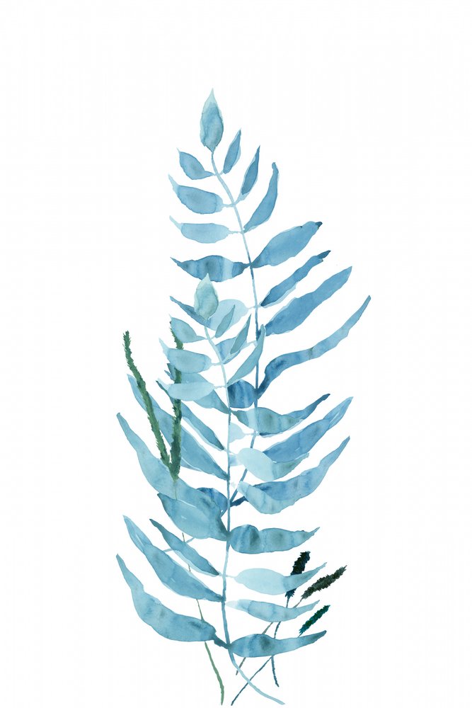 Blue Watercolor Fern by cartissi