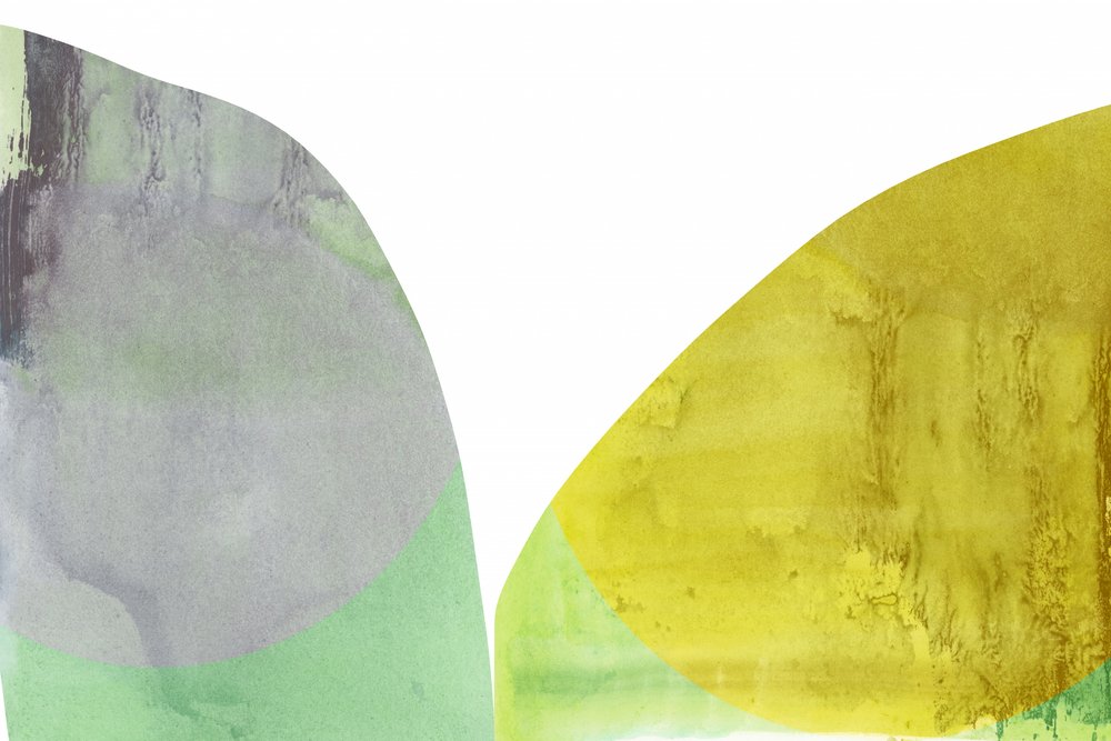 Fluid Organic Shapes by cartissi