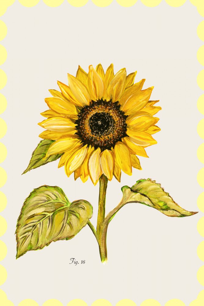 Golden Sunflower Botanical by cartissi
