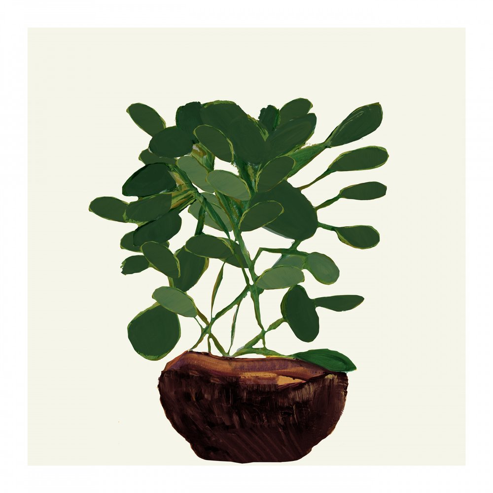 Green Potted Plant by cartissi