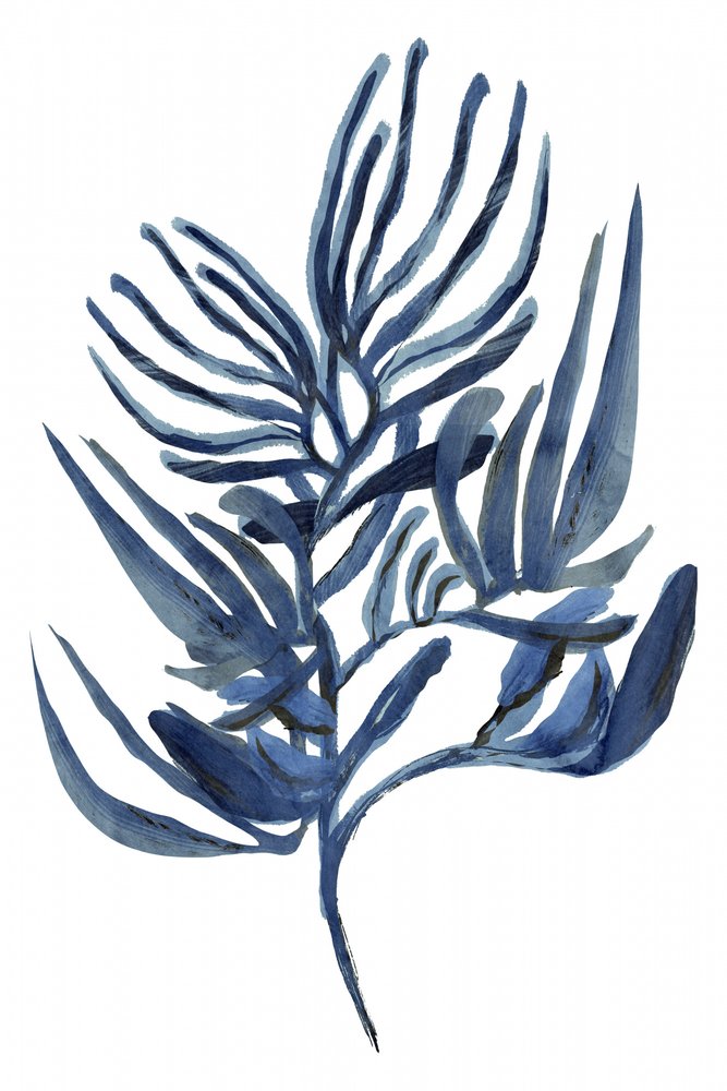 Indigo Botanical Study by cartissi