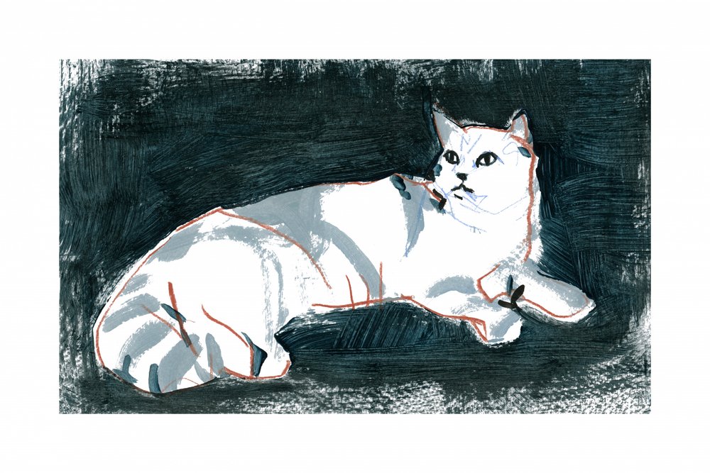 Lying White Cat by cartissi