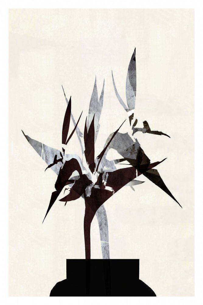 Modern Botanical Still Life by cartissi