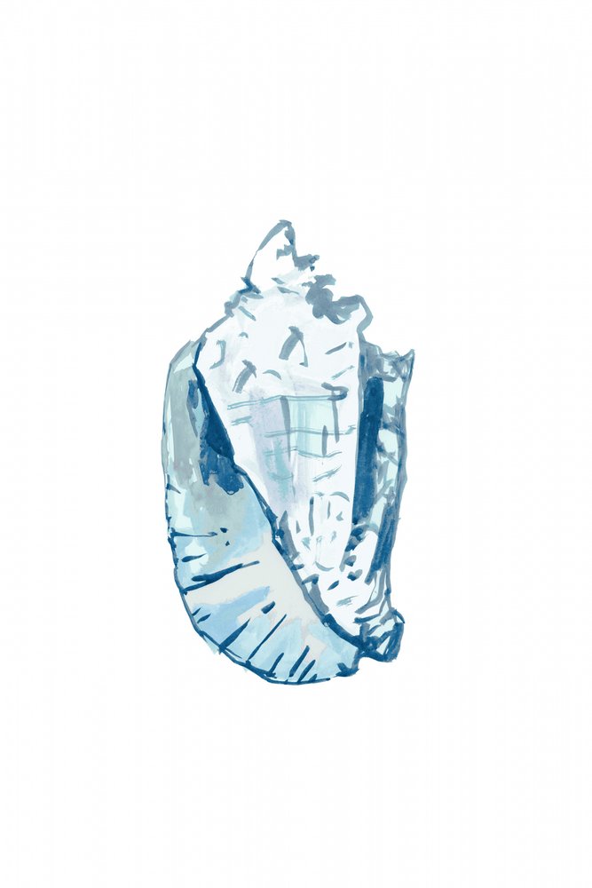 Ocean Blue Conch by cartissi