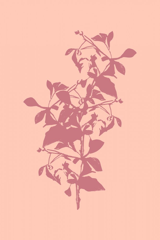 Pink Botanical Silhouette by cartissi